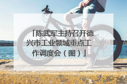 陈武军主持召开德兴市工业领域重点工作调度会（图）