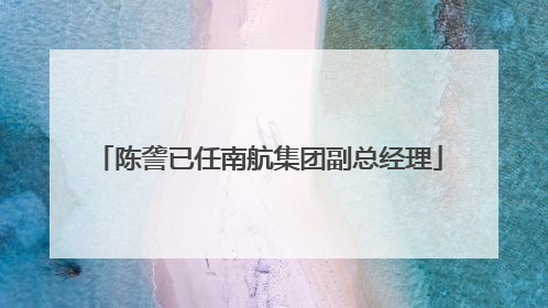 陈詟已任南航集团副总经理