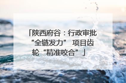 陕西府谷：行政审批“全链发力” 项目齿轮“精准咬合”