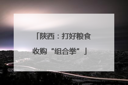 陕西：打好粮食收购“组合拳”