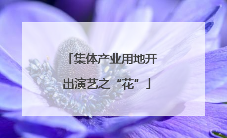 集体产业用地开出演艺之“花”