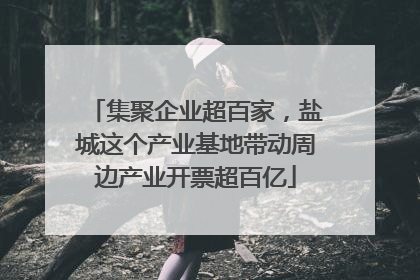 集聚企业超百家，盐城这个产业基地带动周边产业开票超百亿