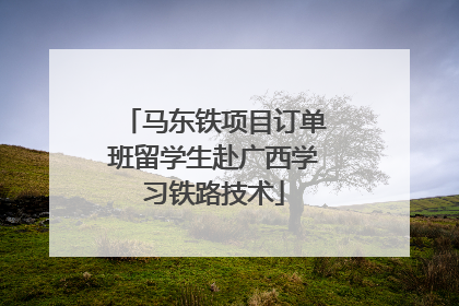 马东铁项目订单班留学生赴广西学习铁路技术