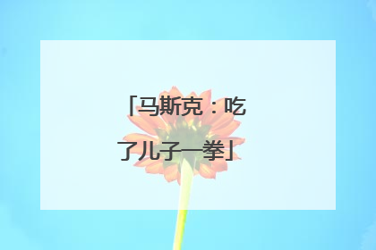 马斯克：吃了儿子一拳
