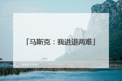 马斯克：我进退两难