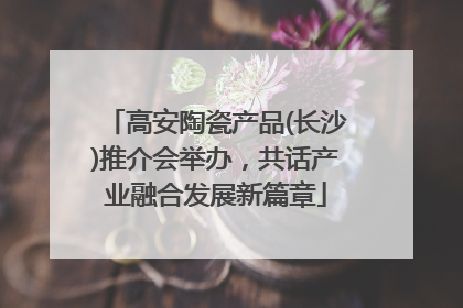 高安陶瓷产品(长沙)推介会举办，共话产业融合发展新篇章