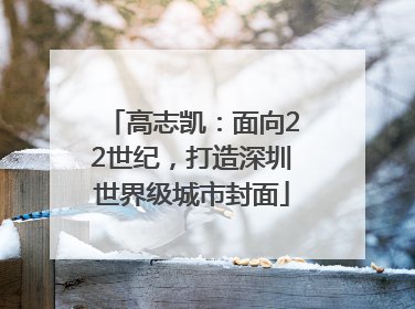 高志凯：面向22世纪，打造深圳世界级城市封面