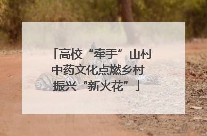 高校“牵手”山村 中药文化点燃乡村振兴“新火花”