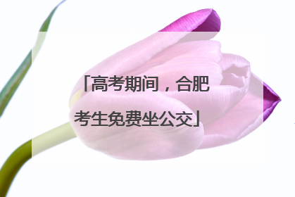高考期间，合肥考生免费坐公交