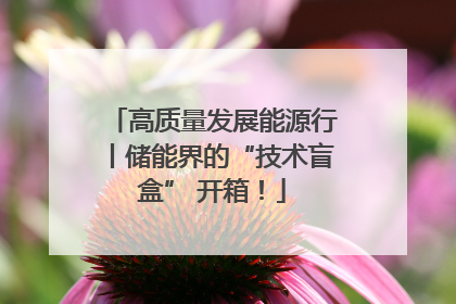 高质量发展能源行丨储能界的“技术盲盒” 开箱！