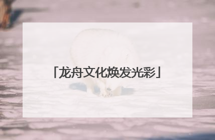 龙舟文化焕发光彩