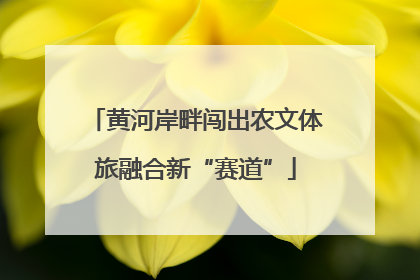 黄河岸畔闯出农文体旅融合新“赛道”