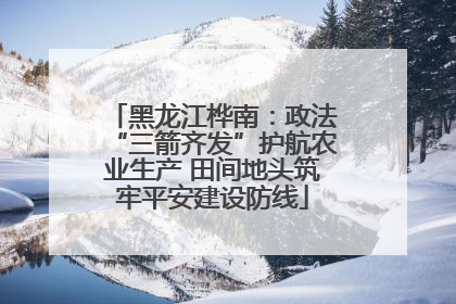 黑龙江桦南：政法“三箭齐发”护航农业生产 田间地头筑牢平安建设防线
