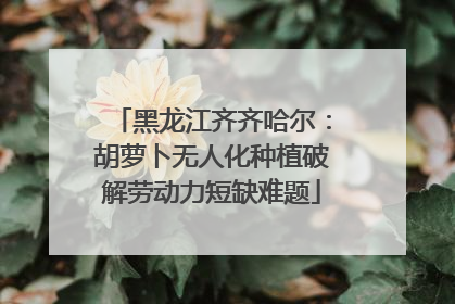 黑龙江齐齐哈尔：胡萝卜无人化种植破解劳动力短缺难题