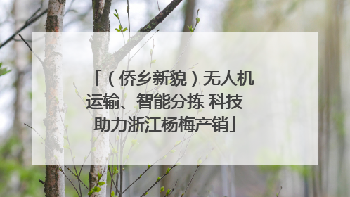 （侨乡新貌）无人机运输、智能分拣 科技助力浙江杨梅产销
