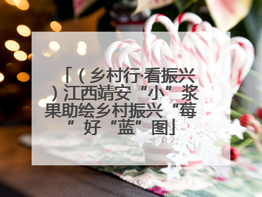 （乡村行·看振兴）江西靖安“小”浆果助绘乡村振兴“莓”好“蓝”图