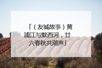 （友城故事）黄浦江与默西河，廿六春秋共潮声