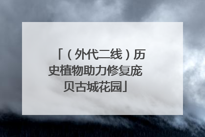 （外代二线）历史植物助力修复庞贝古城花园