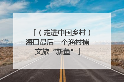 （走进中国乡村）海口最后一个渔村捕文旅“新鱼”