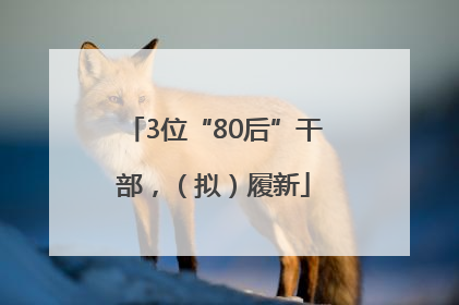 3位“80后”干部，（拟）履新