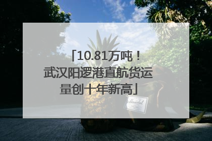 10.81万吨！武汉阳逻港直航货运量创十年新高