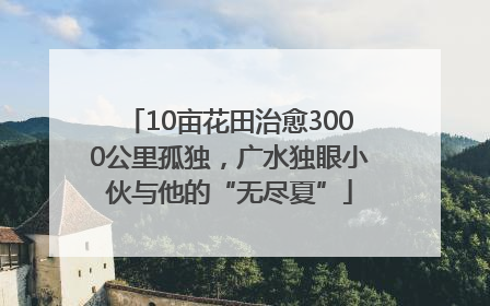 10亩花田治愈3000公里孤独，广水独眼小伙与他的“无尽夏”