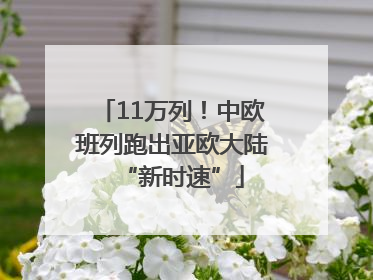 11万列！中欧班列跑出亚欧大陆“新时速”