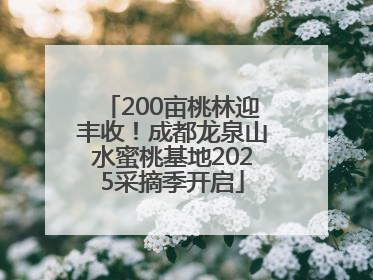 200亩桃林迎丰收！成都龙泉山水蜜桃基地2025采摘季开启