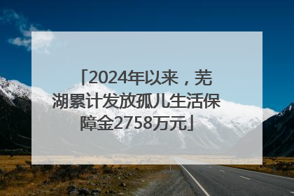 2024年以来，芜湖累计发放孤儿生活保障金2758万元