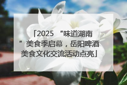 2025 “味道湖南”美食季启幕，岳阳啤酒美食文化交流活动点亮