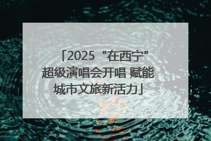 2025“在西宁”超级演唱会开唱 赋能城市文旅新活力