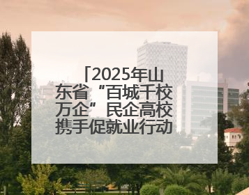 2025年山东省“百城千校万企”民企高校携手促就业行动暨潍坊市职教活动周启动