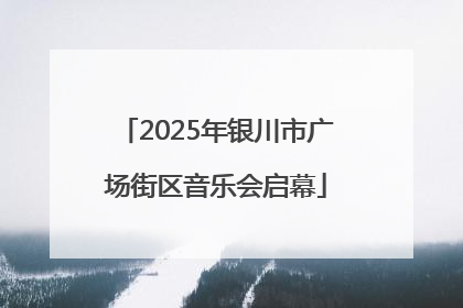 2025年银川市广场街区音乐会启幕