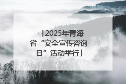 2025年青海省“安全宣传咨询日”活动举行