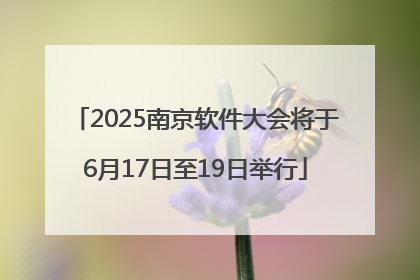 2025南京软件大会将于6月17日至19日举行