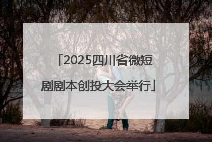 2025四川省微短剧剧本创投大会举行