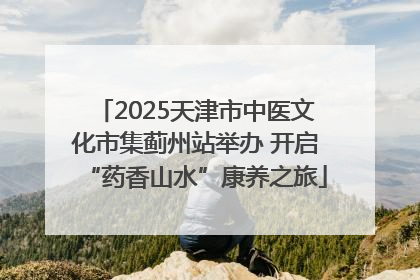 2025天津市中医文化市集蓟州站举办 开启“药香山水”康养之旅