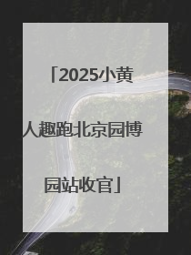 2025小黄人趣跑北京园博园站收官