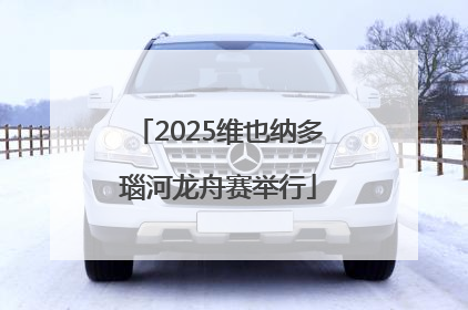 2025维也纳多瑙河龙舟赛举行