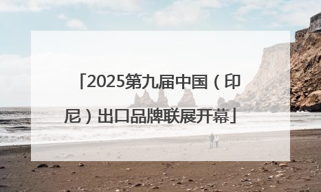 2025第九届中国（印尼）出口品牌联展开幕