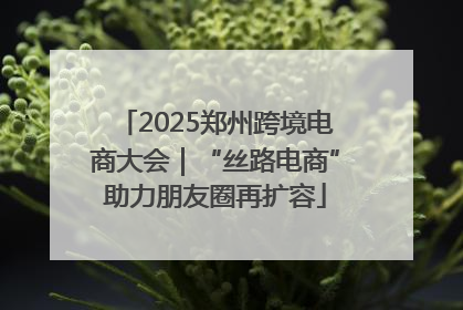 2025郑州跨境电商大会｜“丝路电商”助力朋友圈再扩容