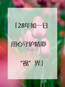 28年如一日 用心守护精彩“视”界