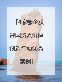 4家鄂企获评国资委价值创造行动优秀案例