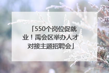 550个岗位促就业！禹会区举办人才对接主题招聘会