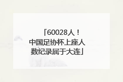 60028人！中国足协杯上座人数纪录属于大连