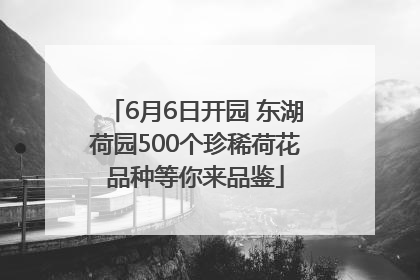 6月6日开园 东湖荷园500个珍稀荷花品种等你来品鉴