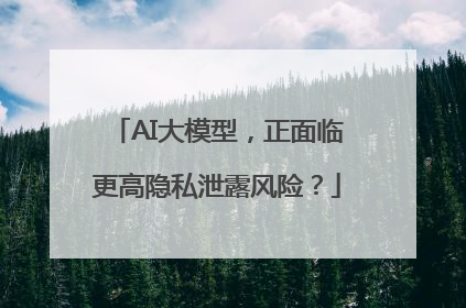 AI大模型，正面临更高隐私泄露风险？