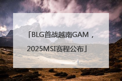 BLG首战越南GAM，2025MSI赛程公布