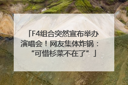 F4组合突然宣布举办演唱会！网友集体炸锅：“可惜杉菜不在了”