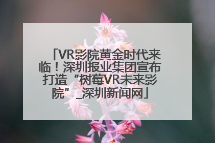VR影院黄金时代来临！深圳报业集团宣布打造“树莓VR未来影院”_深圳新闻网